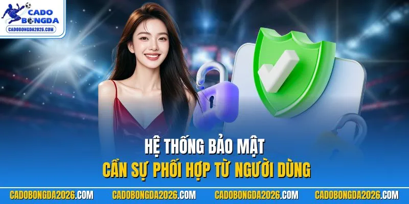 Hệ thống bảo mật cần sự phối hợp từ người dùng