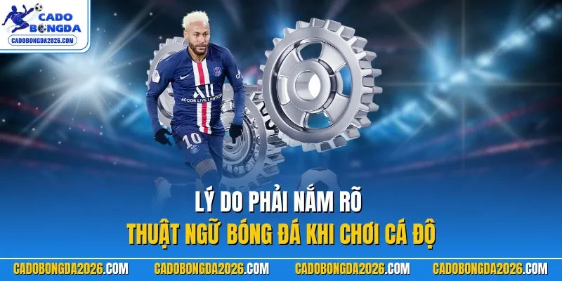 Lý do phải nắm rõ thuật ngữ bóng đá khi chơi cá độ